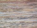 Closeup of the rock striations.jpg